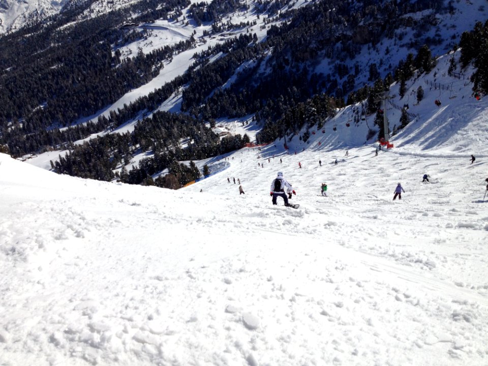 People On Snow Near In Green Trees