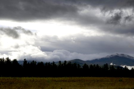 Green Tree Under Cloudy Sky