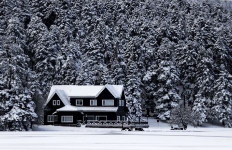Snowy House Grayscale Photo