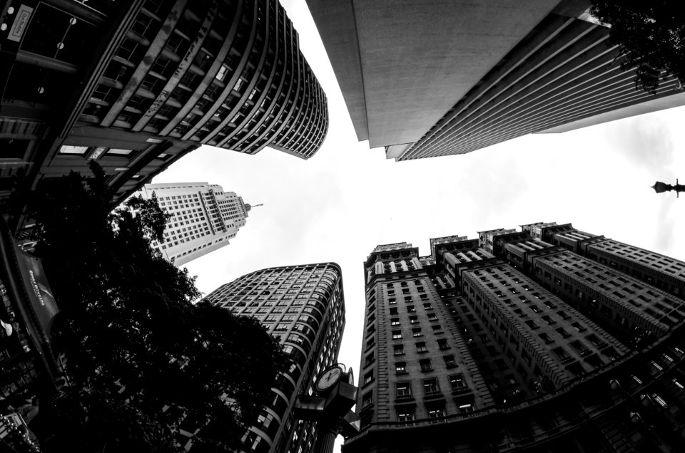 Trees In Between Concrete Buildings During Daytime photo