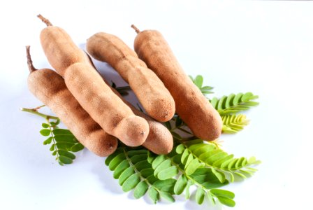 Tamarind Plant On Leaves