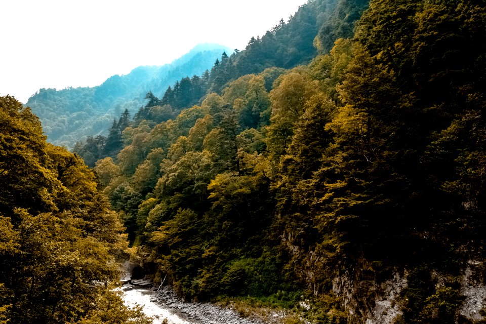 Running Water At The Bottom Of The Mountain Covered With Green Trees