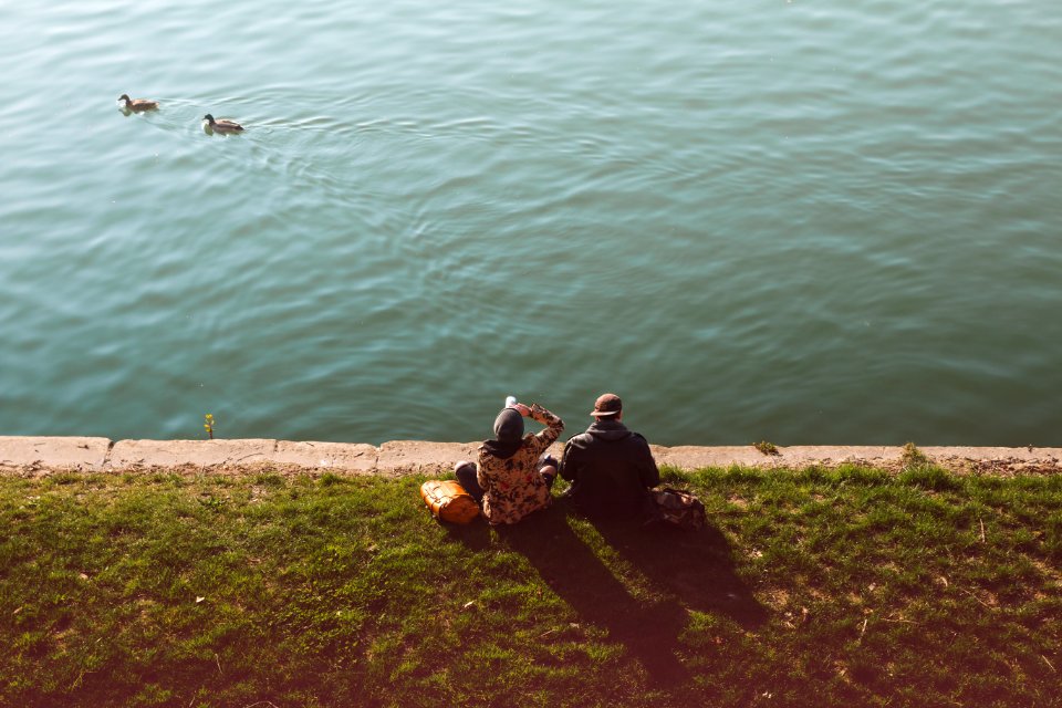 Men And Women Watching At The Beach With The Ducks
