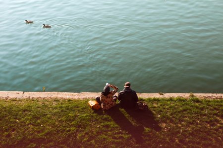 Men And Women Watching At The Beach With The Ducks