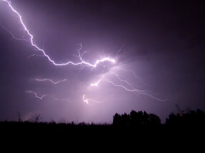 Lightning Crashed Under Trees During Night Time