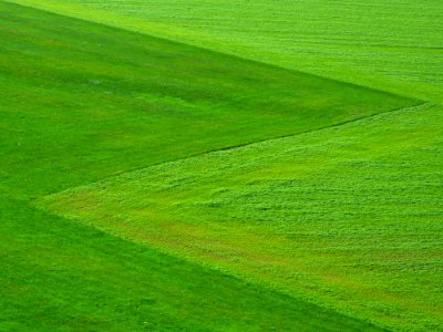 Green Grass Field