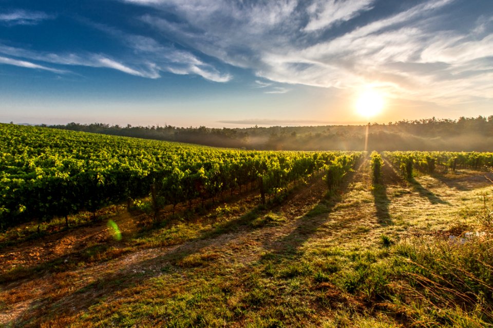 Farm Land During Sunset