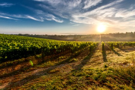Farm Land During Sunset
