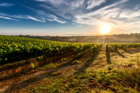 Farm Land During Sunset photo