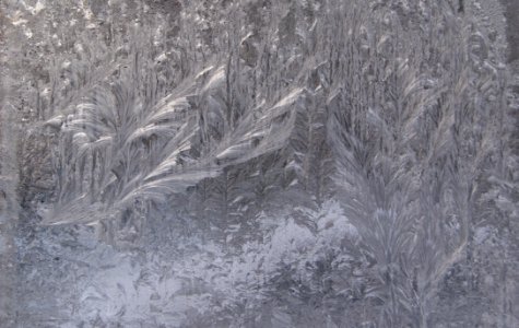 Frosted Window