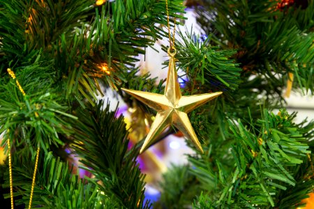 Star On Christmas Tree photo