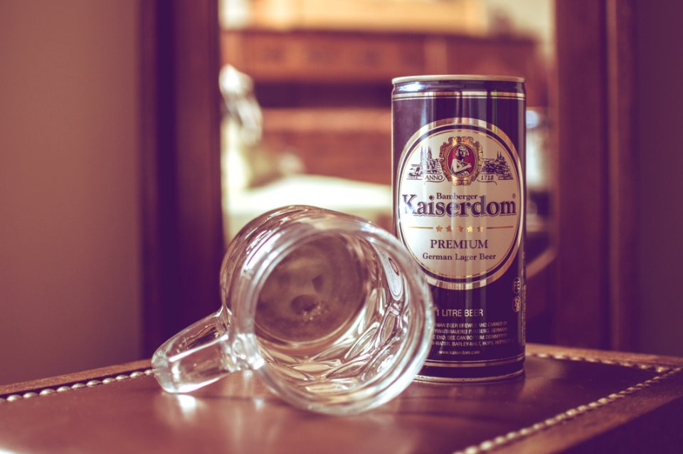 Bear Mug And Beer Can
