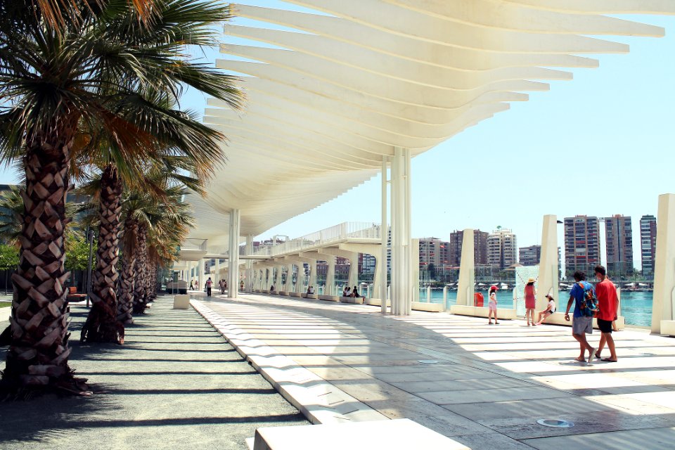 Ultramodern Hotel With Palm Trees