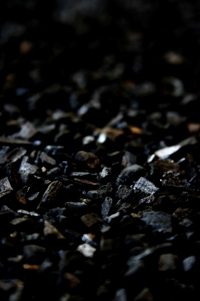 Black Charcoals