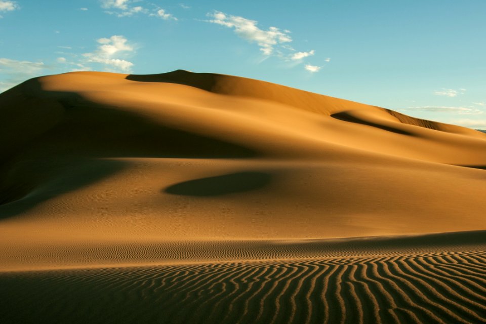 Brown Desert photo