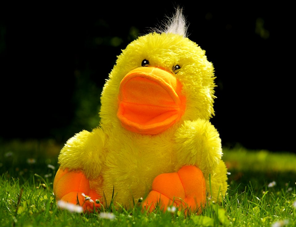 Yellow Plush Duck Toy