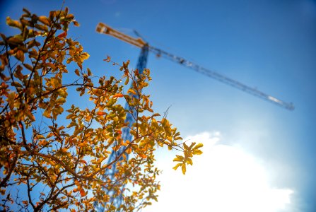 Construction Crane Against Blue Skies