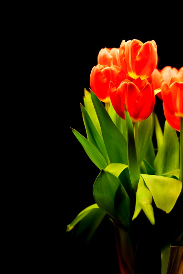 Ref Flowers