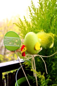 Easter Decorations In Plant