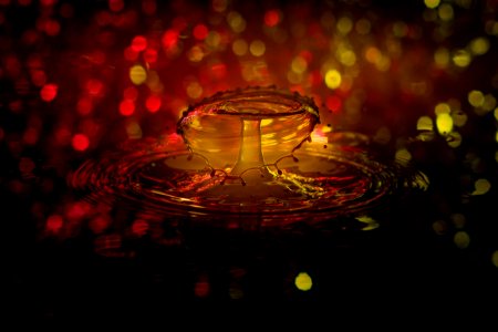 Water Drop With Bokeh Lights