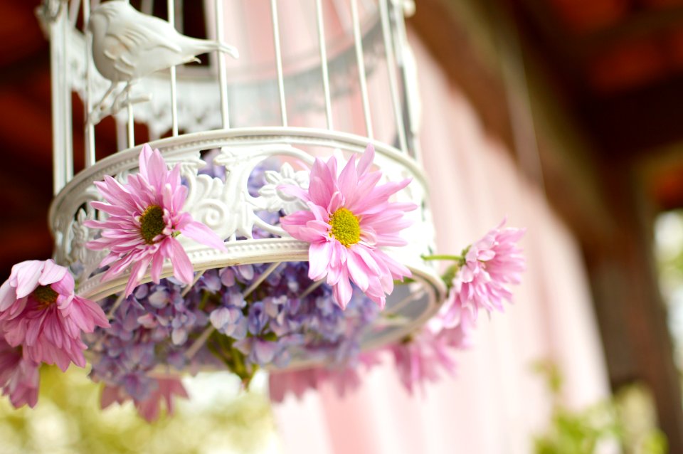 Decorative Birdcage