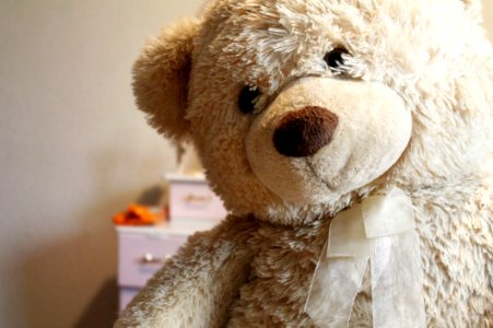 Teddy Bear photo