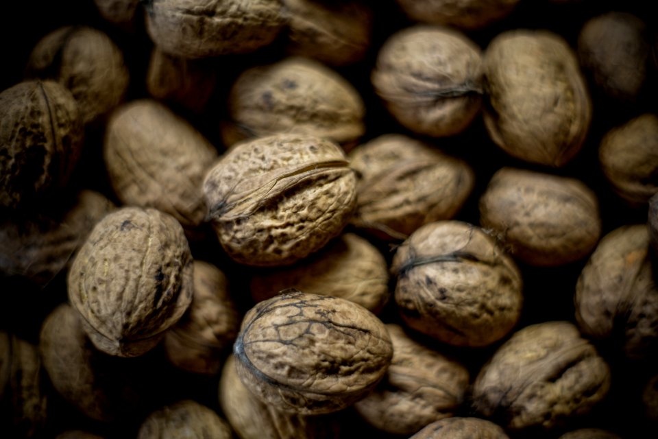 Macro Shot Of Brown Nut