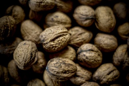 Macro Shot Of Brown Nut photo