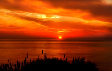 Hays Silhouette Near Ocean During Sunset photo