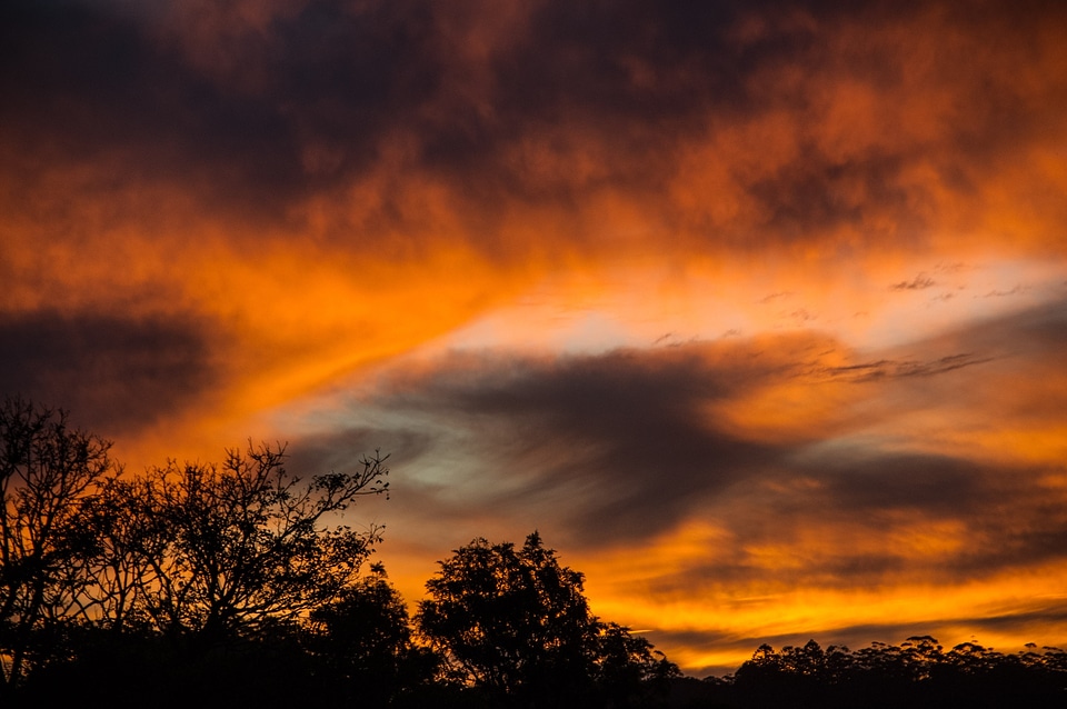 Orange grey dramatic