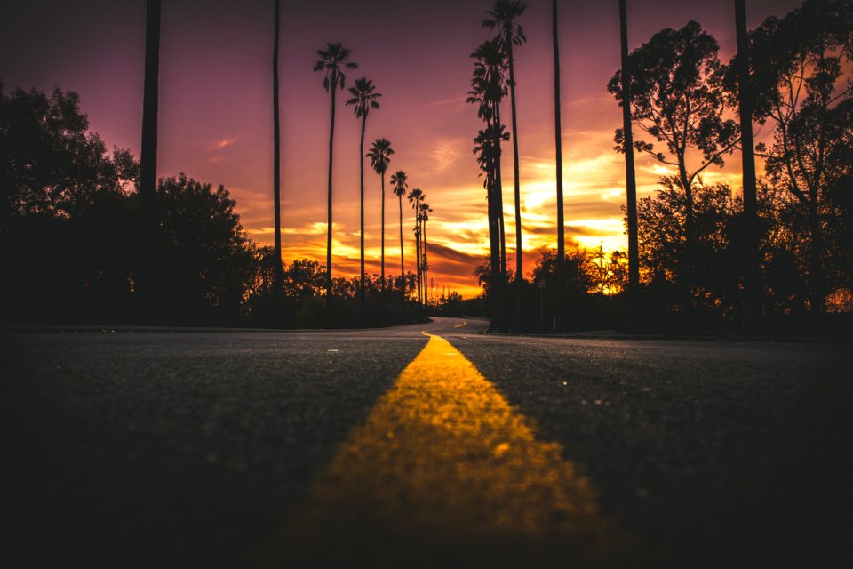 Road In City During Sunset