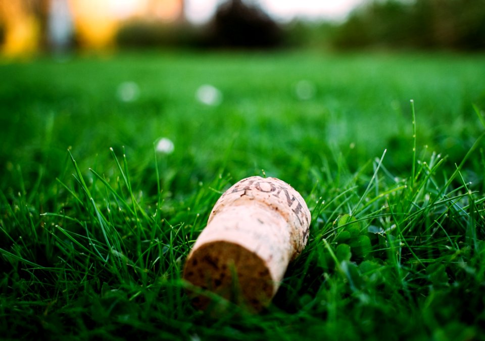 Cork From Champagne Bottle