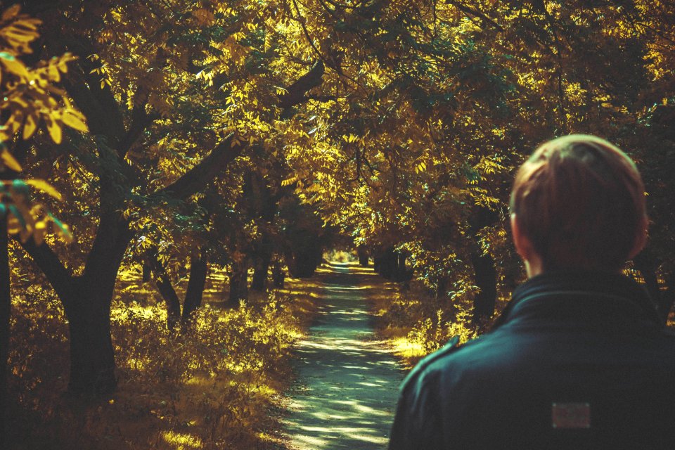 Man On Sunny Forest Trail photo