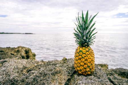 Pineapple On Rocky Coast photo