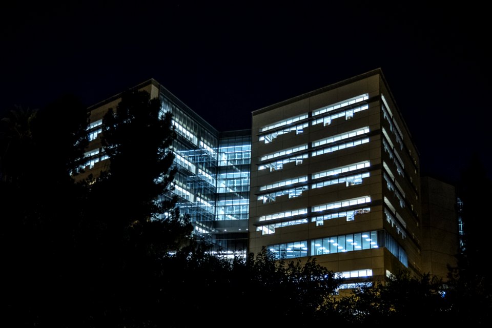 Silhouette Of Trees Near Buildings