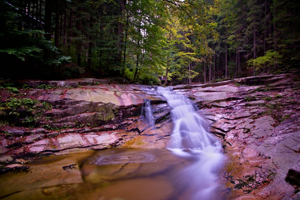 Stream In Middle Of Woods