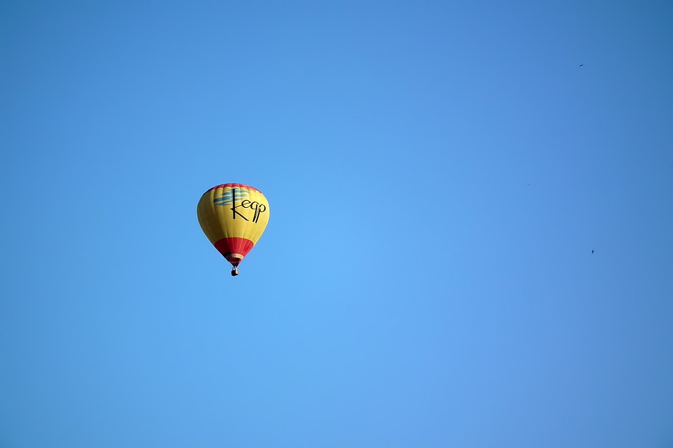 Fly transport yellow