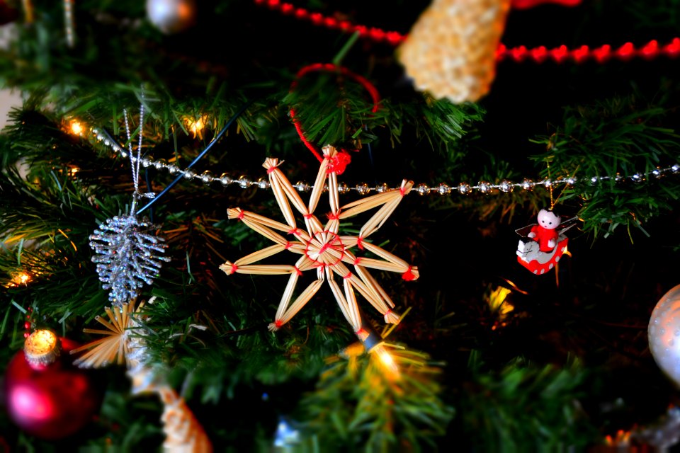 Close-up Of Christmas Tree At Night