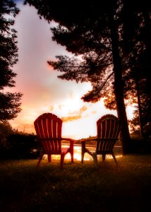 Chairs On Table Against Trees During Sunset photo