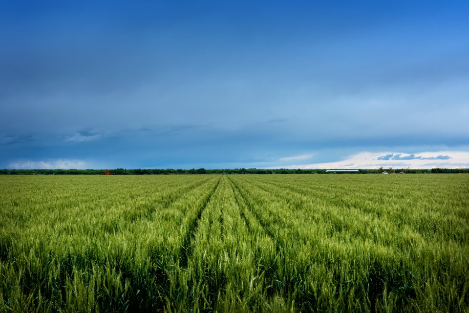 A lush field beneath threatening skies in rural Otero County, Colorado. Original image from Carol M. Highsmith’s America, Library of Congress collection.