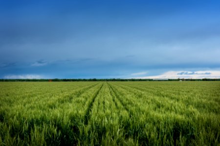 A lush field beneath threatening skies in rural Otero County, Colorado. Original image from Carol M. Highsmith’s America, Library of Congress collection. photo