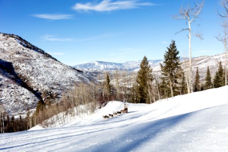 Sled dogs race through the Rocky Mountain backcountry near the ski resort of Snowmass Village, Colorado. The animals are a feature of the Krabloonik Dog Sledding operation tied to a rustic-cabin restaurant, established in 1974, that serves fresh fish and game dishes such as caribou sausage in the alpine setting. Original image from Carol M. Highsmith’s America, Library of Congress collection. photo