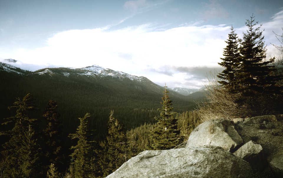 Yosemite National Park, USA. Original image from Carol M. Highsmith’s America, Library of Congress collection. photo