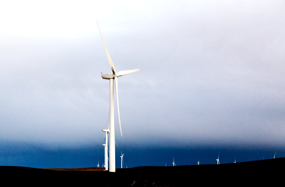 A wind farm off California Rt. 12 near Rio Vista in Solano County, California. Original image from Carol M. Highsmith’s America, Library of Congress collection.