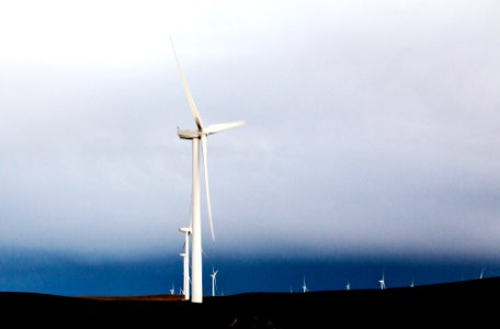 A wind farm off California Rt. 12 near Rio Vista in Solano County, California. Original image from Carol M. Highsmith’s America, Library of Congress collection. photo