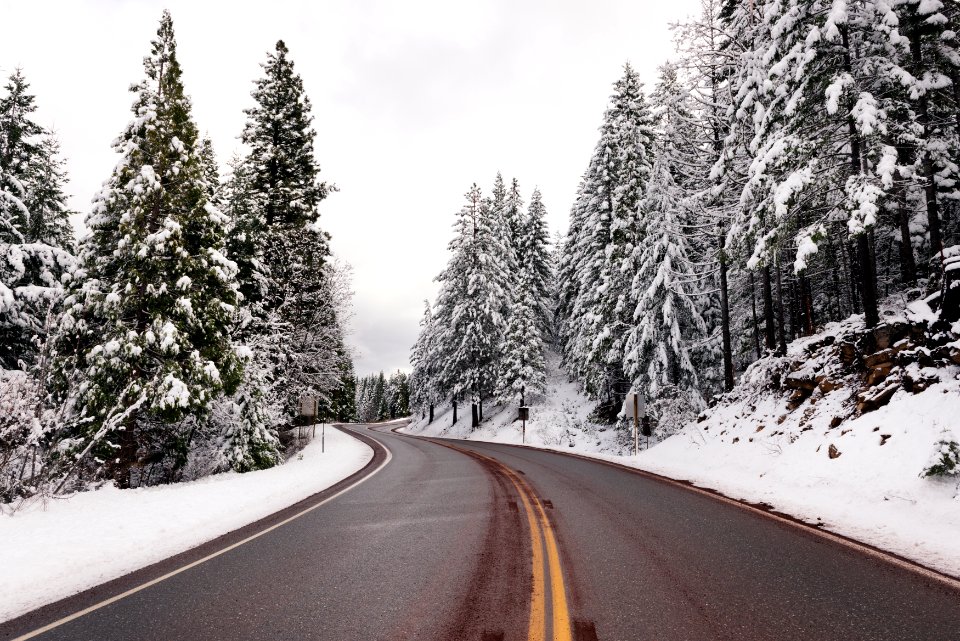 A living snow globe scene and winter wonderland, created by a sudden mountain blizzard along California Highway 36. Original image from Carol M. Highsmith’s America, Library of Congress collection.