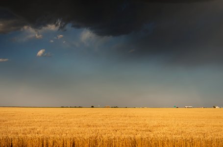 A perfectly flat wheatfield, worthy of western Kansas. Original image from Carol M. Highsmith’s America, Library of Congress collection.