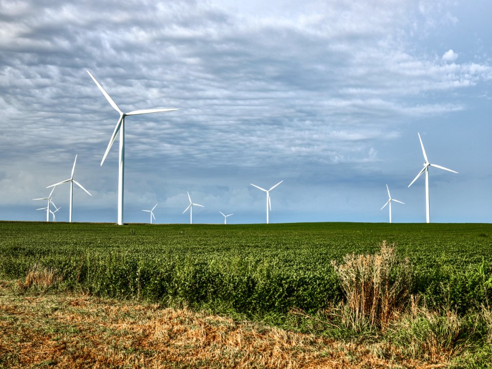 Wind turbines dominate the sky over the soybean fields of Franklin County, Iowa. Original image from Carol M. Highsmith’s America, Library of Congress collection.