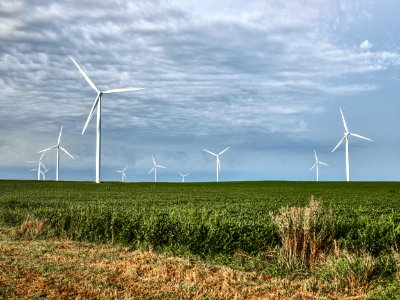 Wind turbines dominate the sky over the soybean fields of Franklin County, Iowa. Original image from Carol M. Highsmith’s America, Library of Congress collection.