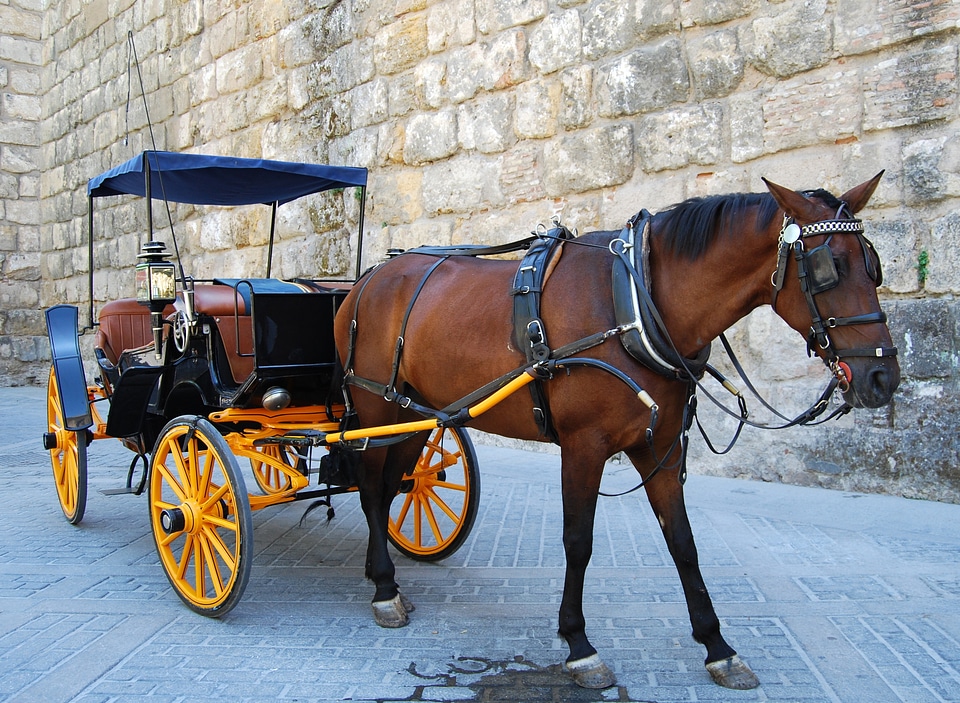 Romantic calash carrozza